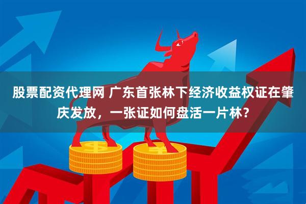 股票配资代理网 广东首张林下经济收益权证在肇庆发放，一张证如何盘活一片林？